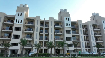 3 BHK Flat for Sale in Sector 28 Rohtak