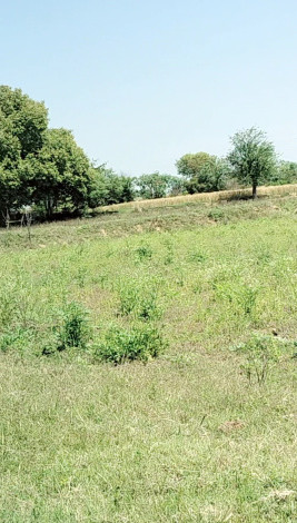  Agricultural Land 1 Acre for Sale in Kurali, Mohali