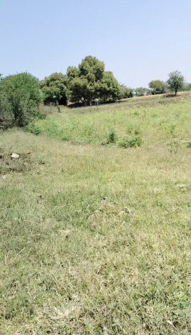  Agricultural Land 1 Acre for Sale in Kurali, Mohali