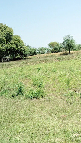  Agricultural Land 10 Sq.ft. for Sale in Kurali, Mohali