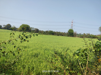  Agricultural Land for Sale in Pipariya, Jabalpur