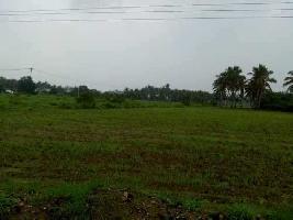  Agricultural Land for Sale in Kommadi, Visakhapatnam