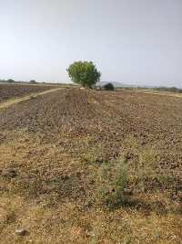  Agricultural Land for Sale in Vadamalapet, Chittoor