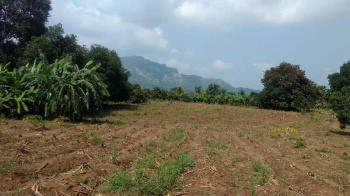  Agricultural Land for Sale in Shirishpada Village, Palghar