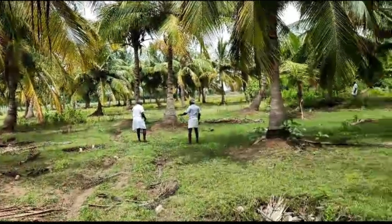  Agricultural Land 1300 Cent for Sale in Uthiramerur, Kanchipuram