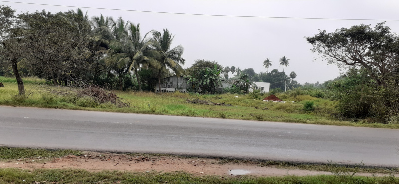  Commercial Land 4800 Sq.ft. for Sale in Walajapet, Vellore