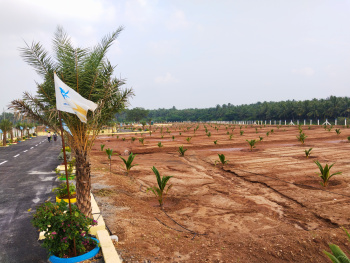  Commercial Land for Sale in Kinathukadavu, Coimbatore