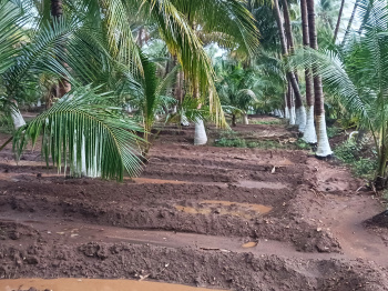  Agricultural Land for Sale in Paramathi, Namakkal