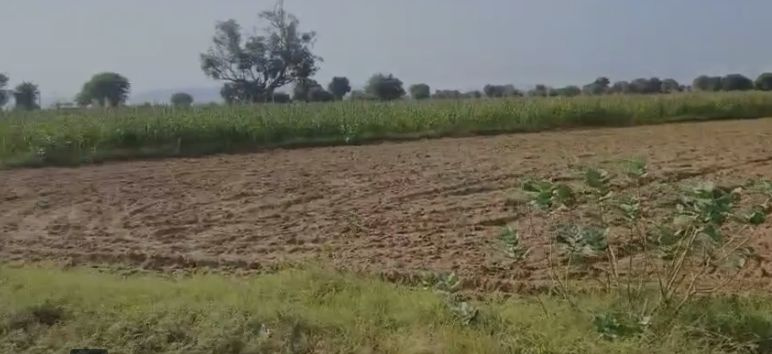  Agricultural Land 20 Bigha for Sale in Naugaon, Alwar