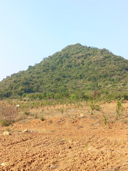  Agricultural Land for Sale in Ravikamatham, Visakhapatnam