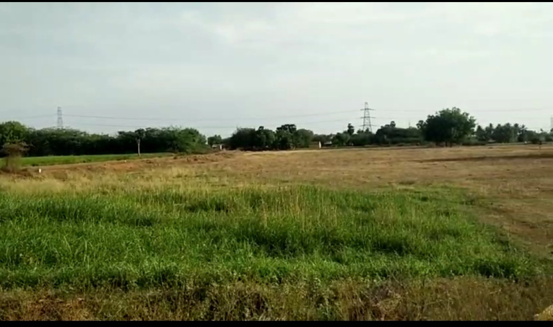  Agricultural Land 8 Acre for Sale in Puthur, Tiruchirappalli