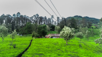  Agricultural Land for Sale in Kotagiri, Nilgiris