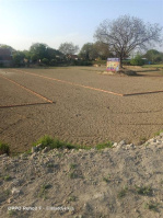  Agricultural Land for Sale in Nigoha, Lucknow