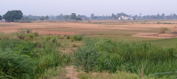  Agricultural Land for Sale in Mohanlalganj, Lucknow