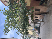 4 BHK Farm House for Sale in Pisoli, Pune