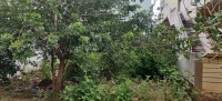  Commercial Land for Sale in Ranebennur, Haveri