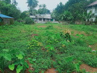  Residential Plot for Sale in Perumbavoor, Kochi