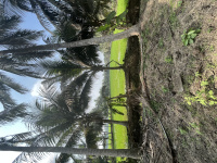  Agricultural Land for Sale in AT Agraharam, Guntur