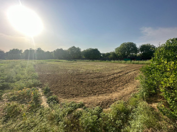  Agricultural Land for Rent in Bijwasan, Delhi