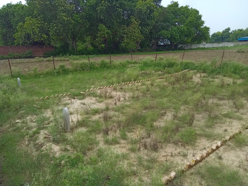  Residential Plot 9000 Ares for Sale in Mandhana, Kanpur