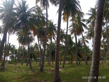  Agricultural Land for Sale in Melakottai, Madurai