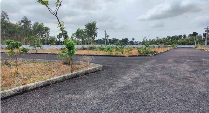  Residential Plot 900 Sq.ft. for Sale in Delhi More, Darbhanga