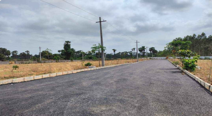 Residential Plot 1800 Sq.ft. for Sale in Delhi More, Darbhanga