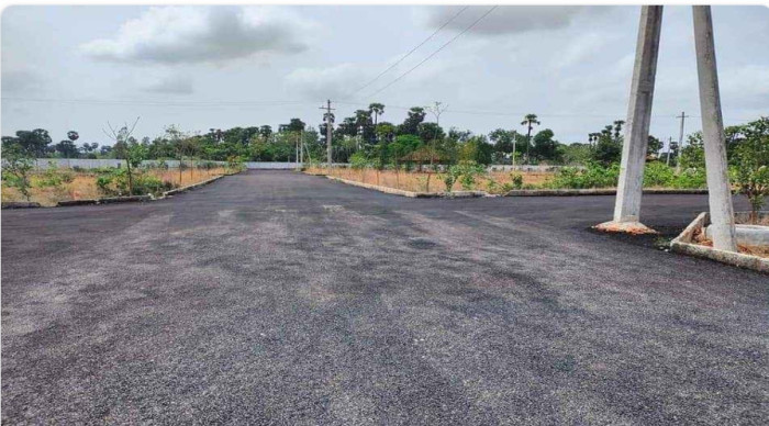  Residential Plot 2700 Sq.ft. for Sale in Delhi More, Darbhanga