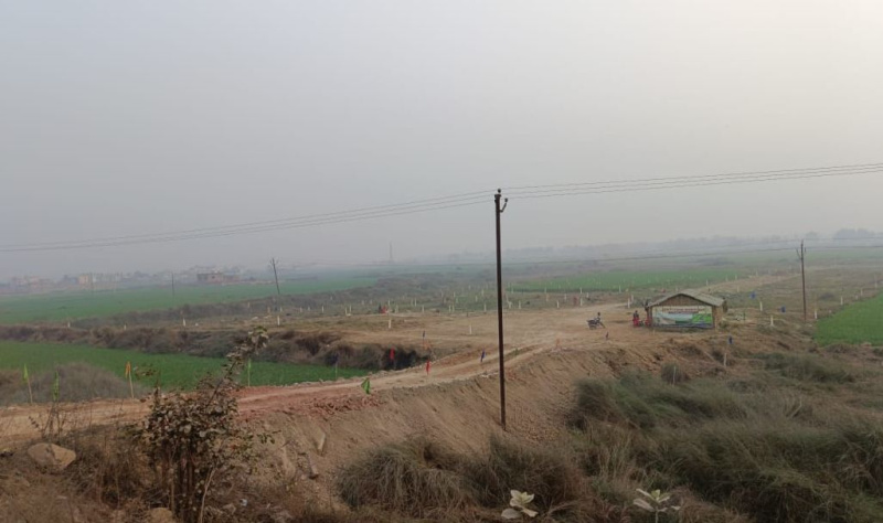  Residential Plot 950 Sq.ft. for Sale in Mabbi Belauna, Darbhanga