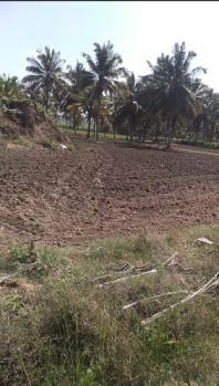  Agricultural Land for Sale in Keragodu, Mandya