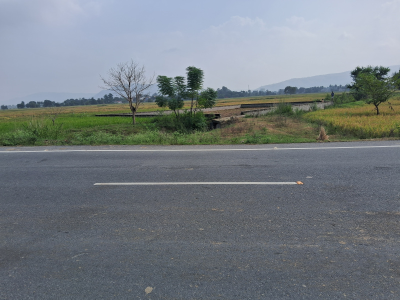  15 Dismil Commercial Land for Sale in Rajgir, Nalanda