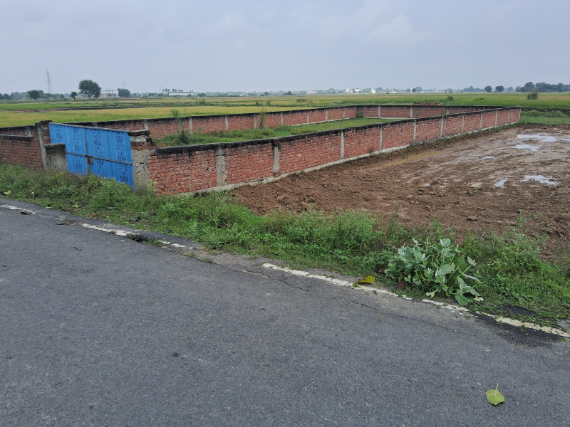  15 Dismil Commercial Land for Sale in Rajgir, Nalanda