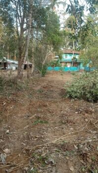  Residential Plot for Sale in Kunnamkulam, Thrissur
