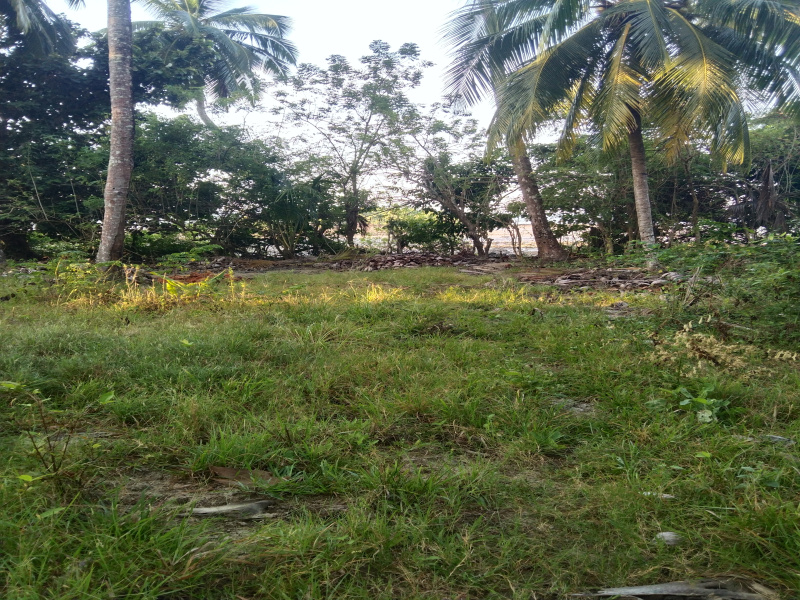  Residential Plot 4000 Sq. Meter for Sale in Rangat, Andaman