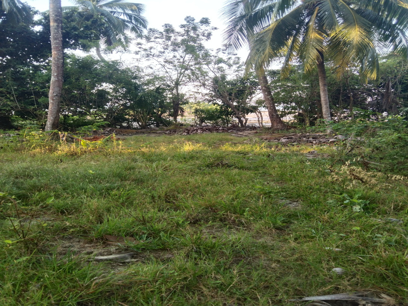  Residential Plot 4000 Sq. Meter for Sale in Rangat, Andaman