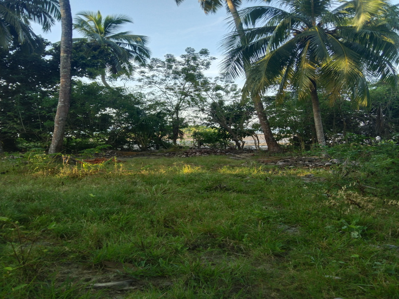  Residential Plot 4000 Sq. Meter for Sale in Rangat, Andaman