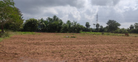 Residential Plot for Sale in Vedanthangal, Kanchipuram