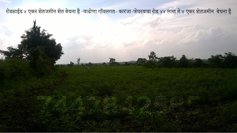  Agricultural Land 4 Acre for Sale in Arvi, Wardha