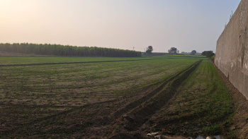  Agricultural Land for Sale in Sardhana Road, Meerut