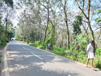 Residential Plot for Sale in Kattakada, Thiruvananthapuram