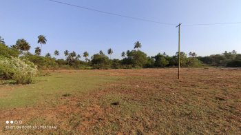  Commercial Land for Sale in Vengurla, Sindhudurg