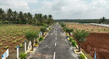  Agricultural Land for Sale in Kinathukadavu, Coimbatore