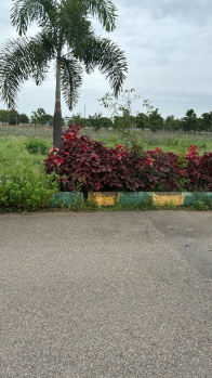  Residential Plot for Sale in Kolluru, Hyderabad