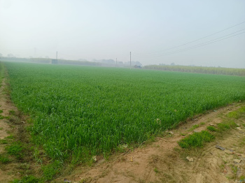  Agricultural Land for Sale in Delhi Road, Bulandshahr