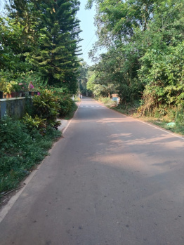  Residential Plot for Sale in Kuthuparamba, Kannur