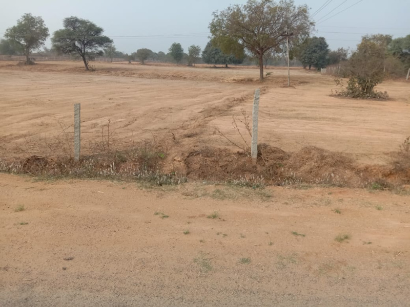  2 Ares Agricultural/Farm Land for Rent in Shadnagar, Hyderabad