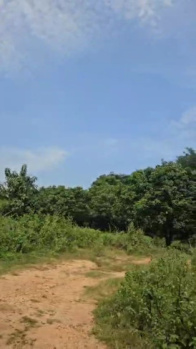 Agricultural Land for Sale in Garuda Nagar, Tirupati