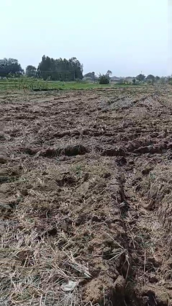  5 Acre Agricultural/Farm Land for Sale in Shadnagar, Hyderabad