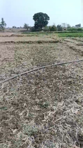  5 Acre Agricultural/Farm Land for Sale in Shadnagar, Hyderabad