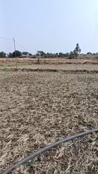  5 Acre Agricultural/Farm Land for Sale in Shadnagar, Hyderabad